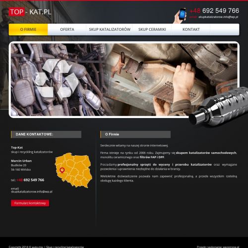 Katalizator skup cennik - Poznań