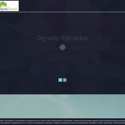 Drzewa do ogrodu w Poznaniu