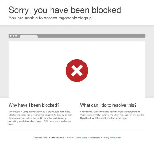 Wytrzymały szarpak dla psa