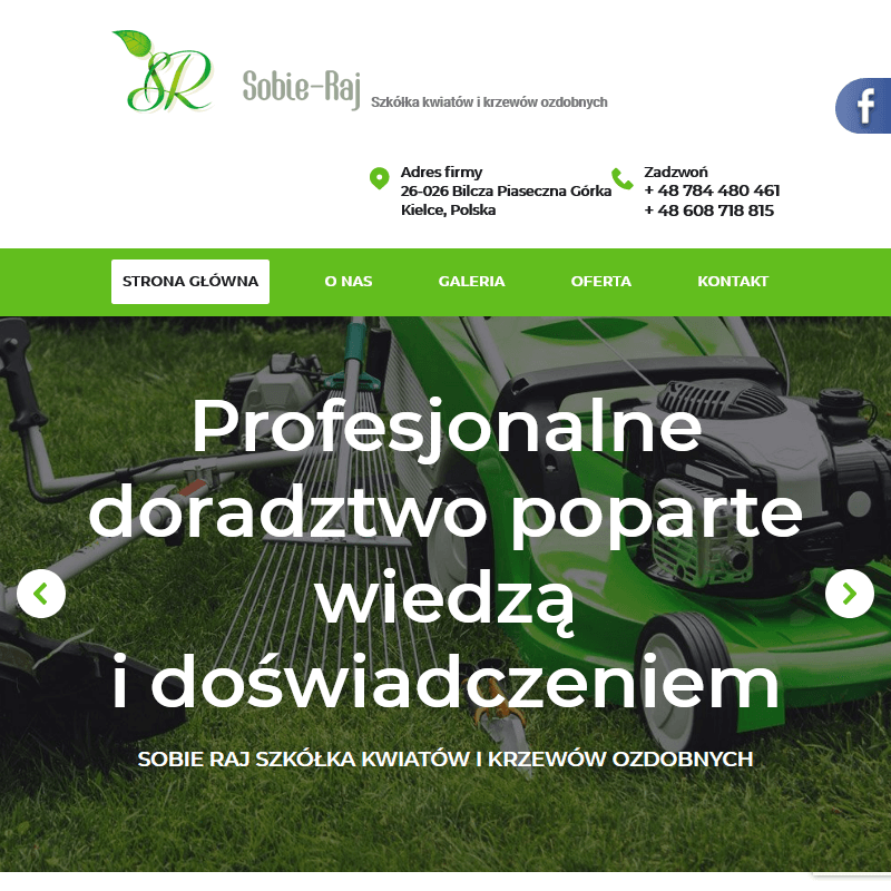 Kielce - tanie rośliny ogrodowe